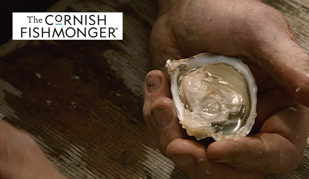 THE CoRNISH FISH MONGER - Oysters